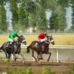 Horses racing in Gonbad-e Kavus, Iran.