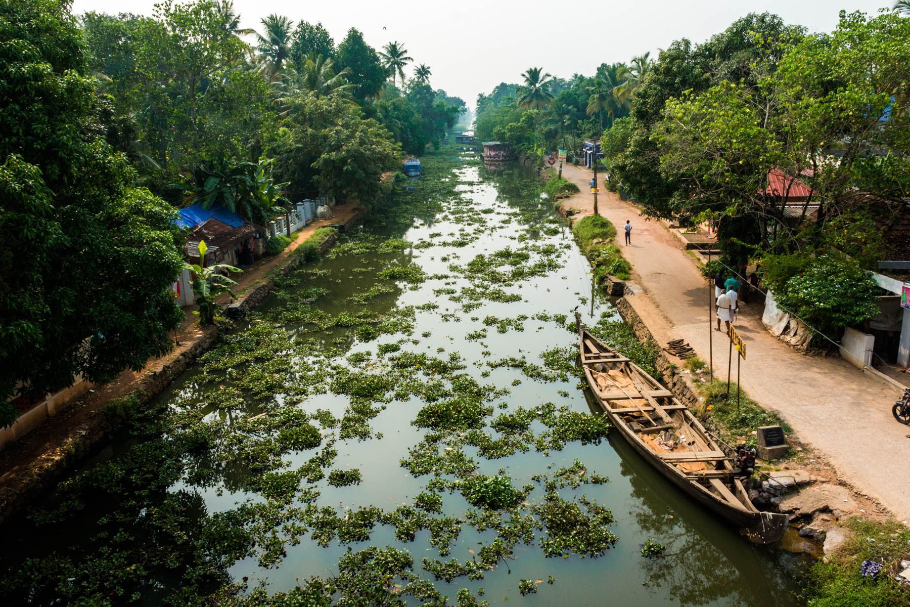 Guide To The Alleppey Backwaters In Kerala Lost With Purpose