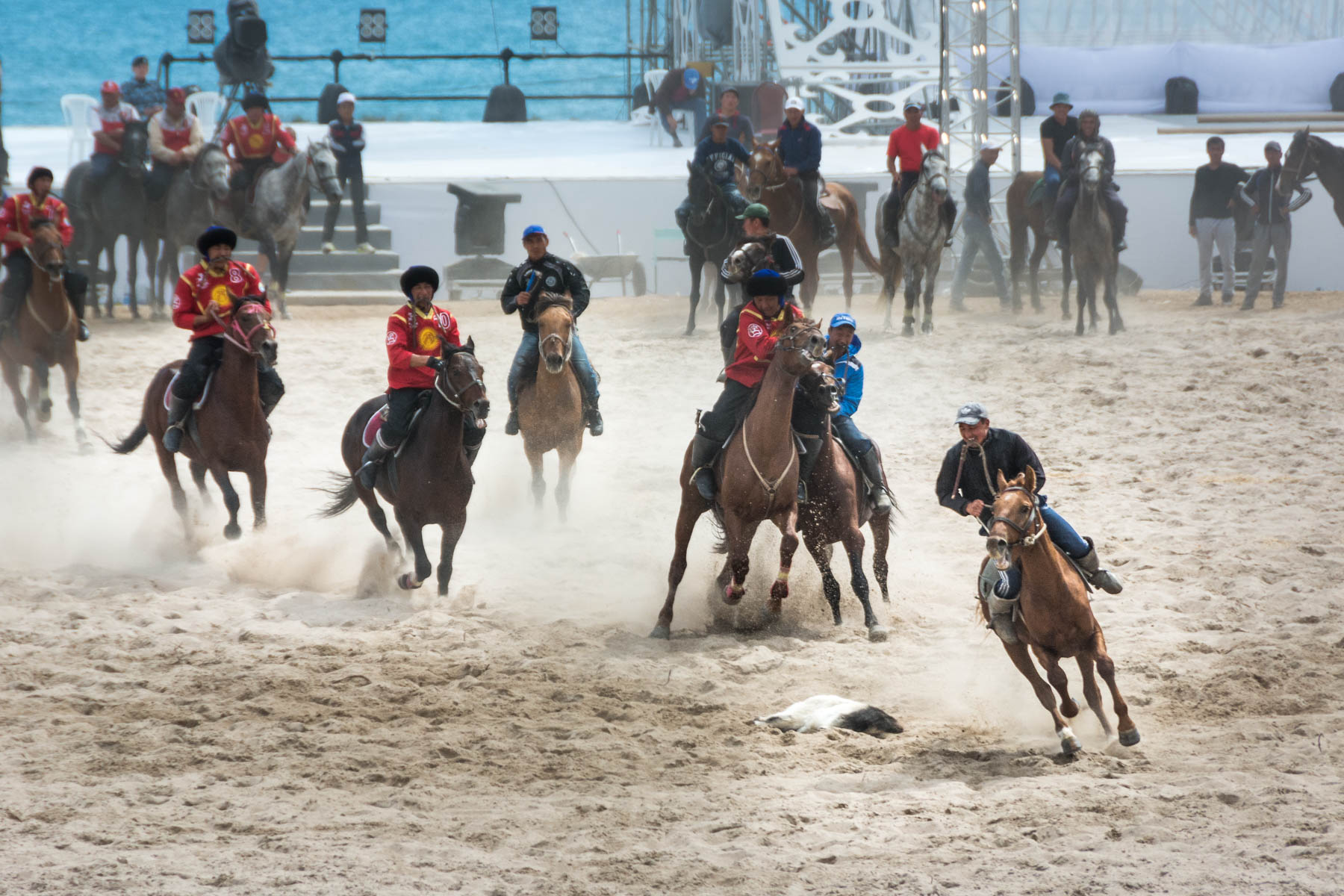 Kok buru at the World Nomad Games in Kyrgyzstan