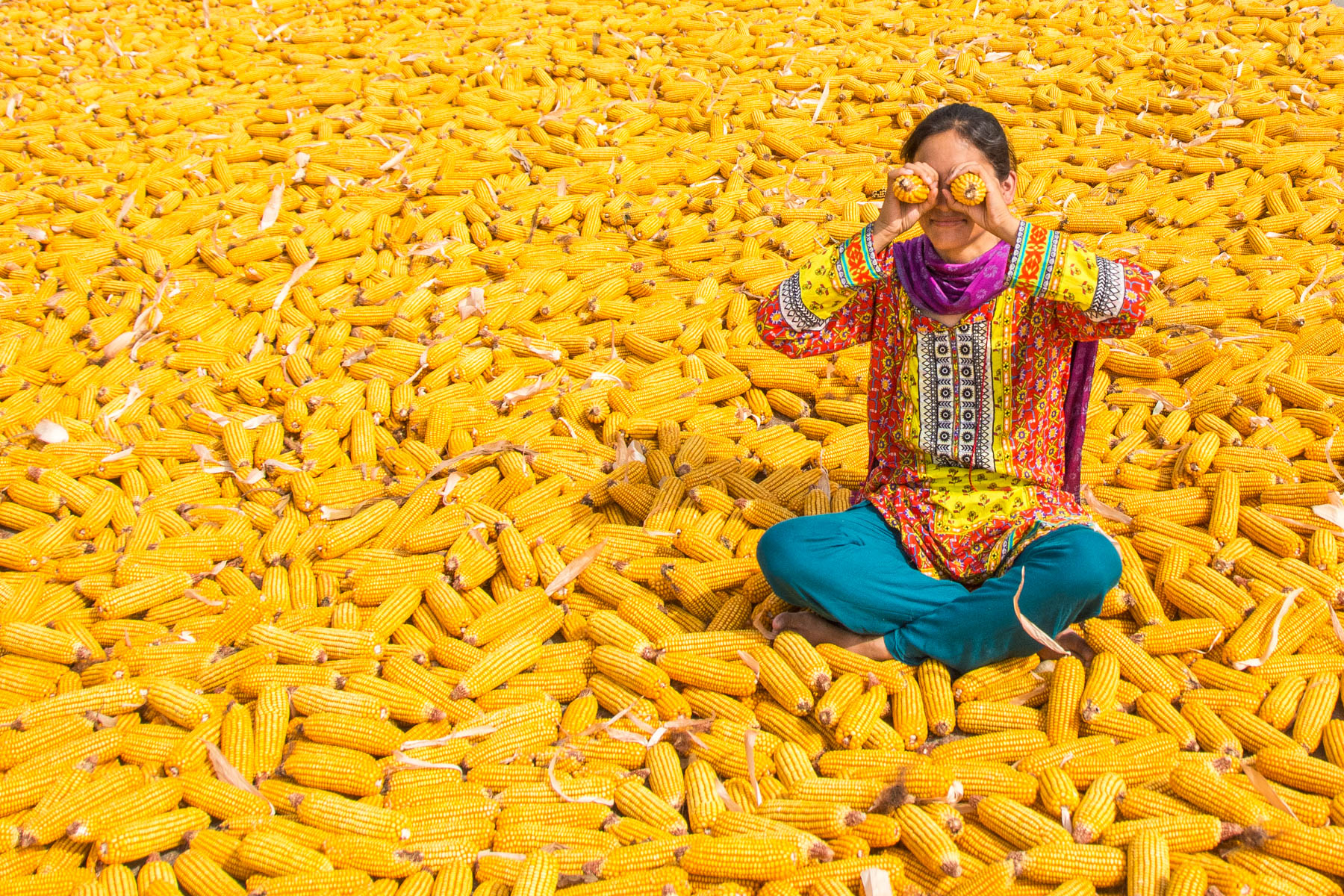 A girl sitting in a field of corn in Pakistan