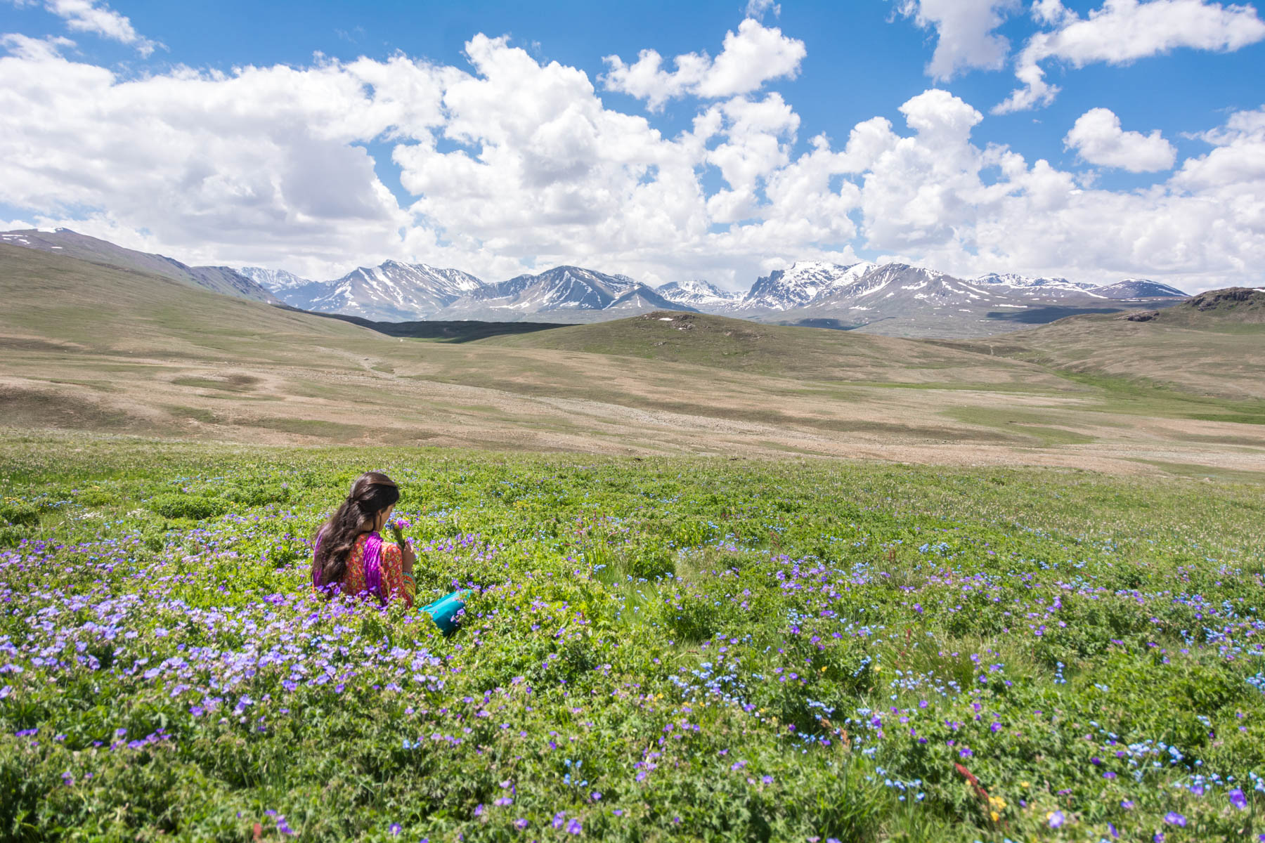 A girl sitting in the flower fields of Deosai National Park, Pakistan