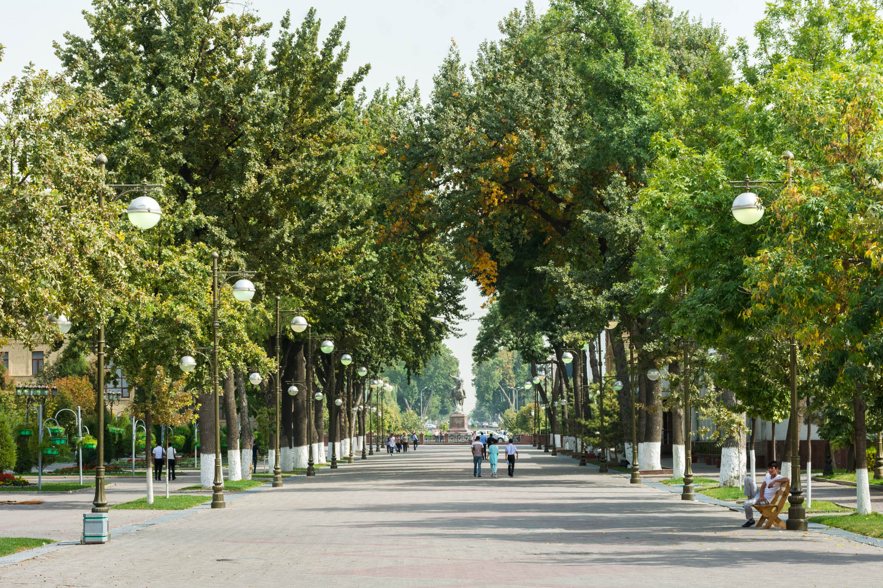 A treelined boulevard in central Tashkent