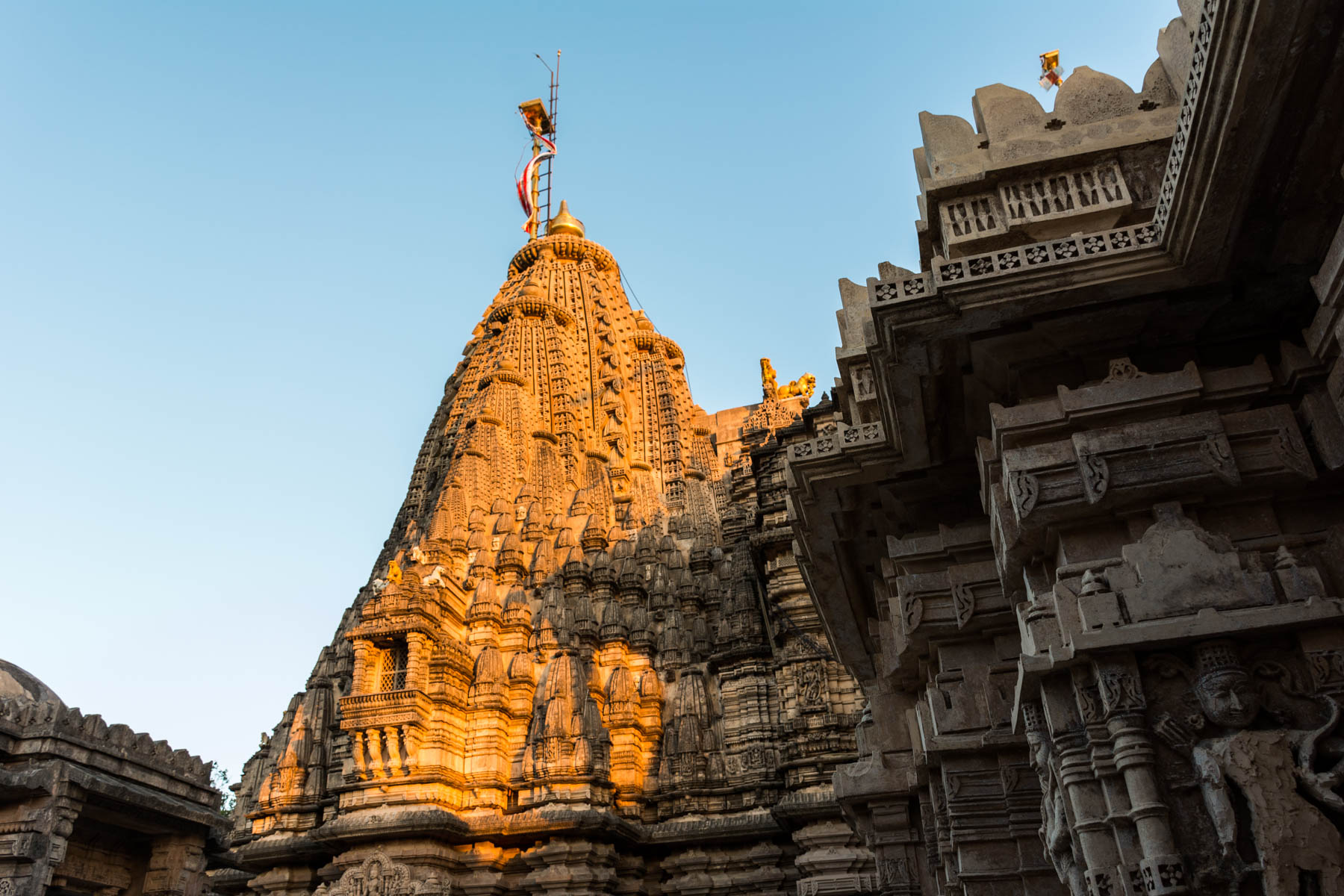 Jain pilgrimage in Palitana, India - Sunrise on the Adinath temple in Palitana - Lost With Purpose