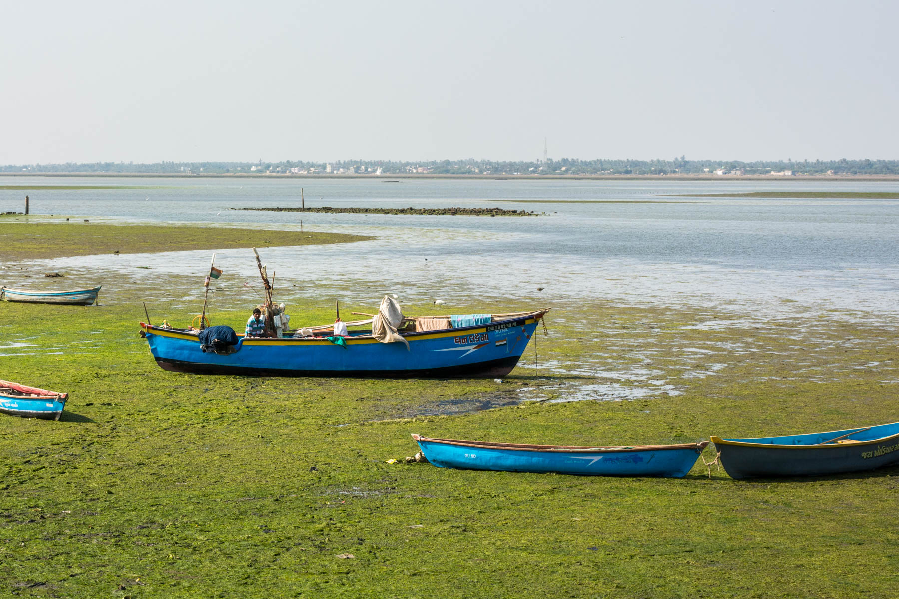 How to get from Palitana to Diu by bus - A man looking lost in a boat amongst the greens near Diu, Gujarat, India - Lost With Purpose