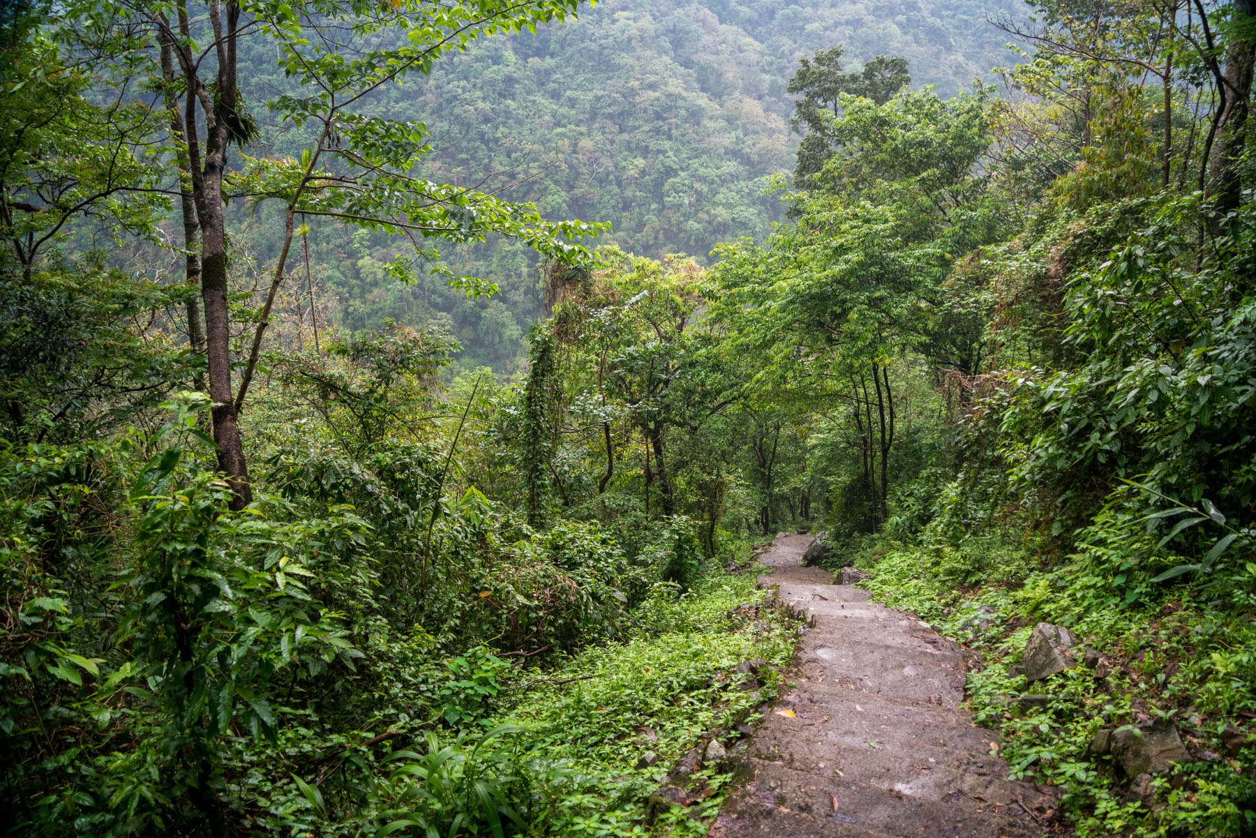 The winding path down to Nongriat