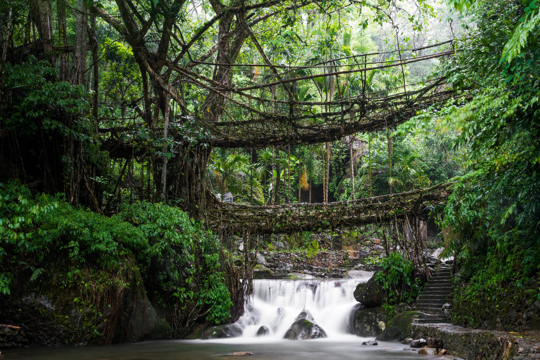 Waterfall below Umshiang living root bridge