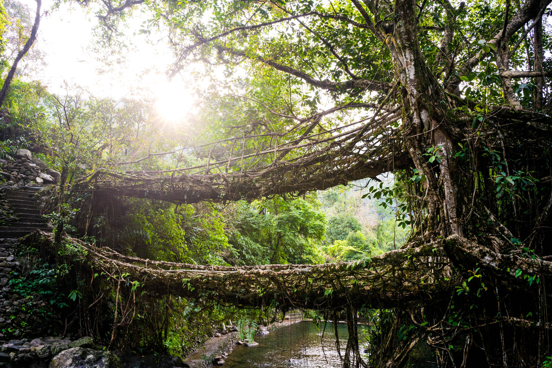 Double Decker Root bridge in Nongriat