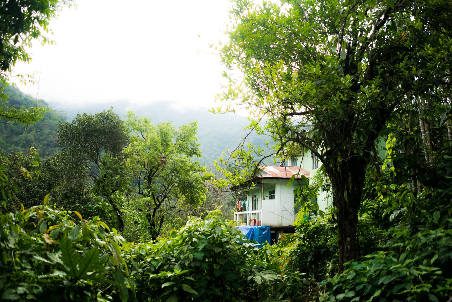 Serene Guesthouse in Nongriat