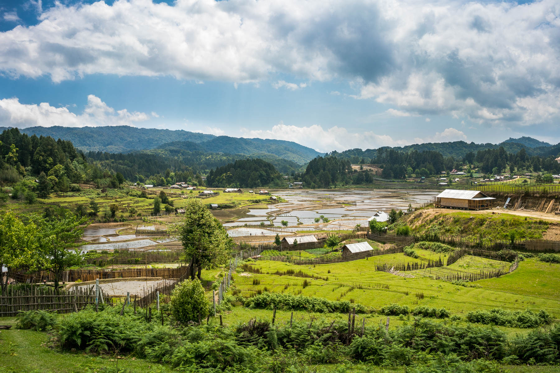 Backpacking Arunachal Pradesh travel guide - The picturesque Ziro Valley - Lost With Purpose