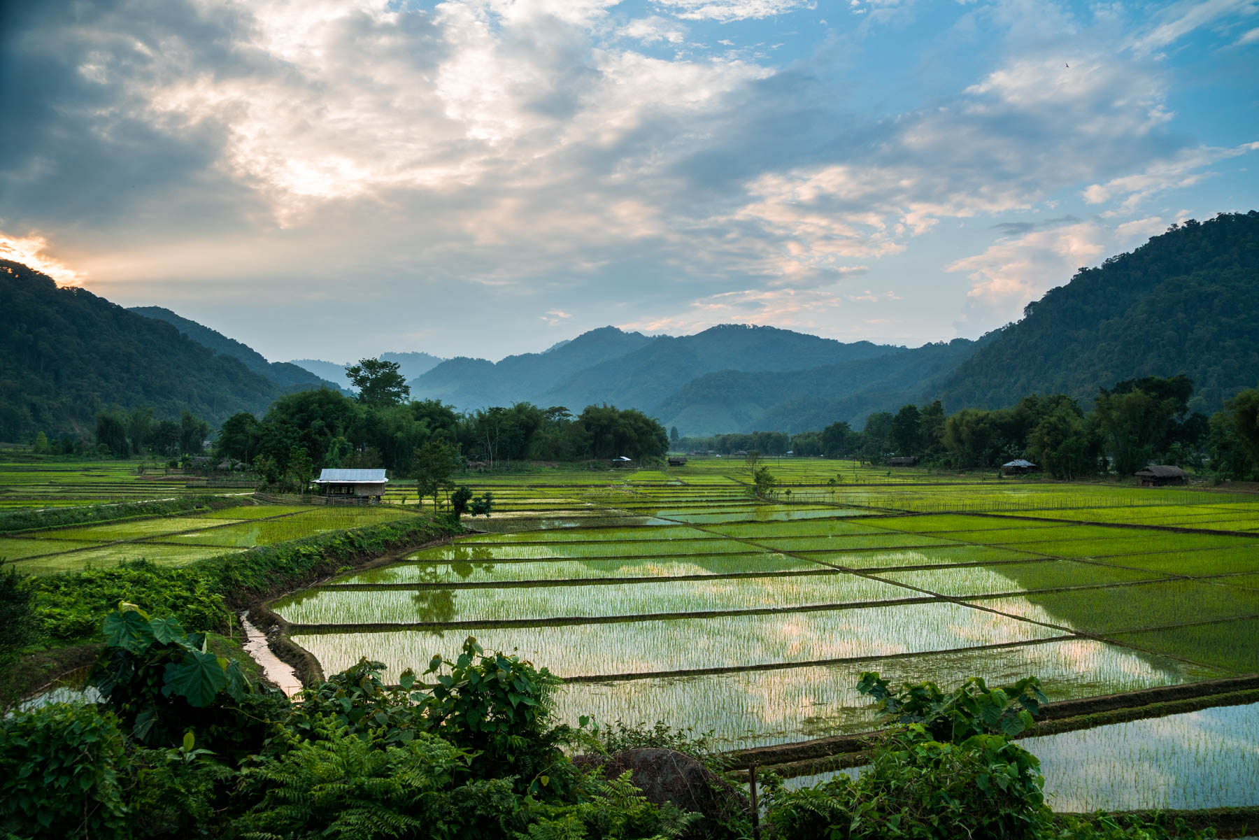 Backpacking Arunachal Pradesh travel guide - Sunset over rice paddies in Along (Aalo) - Lost With Purpose