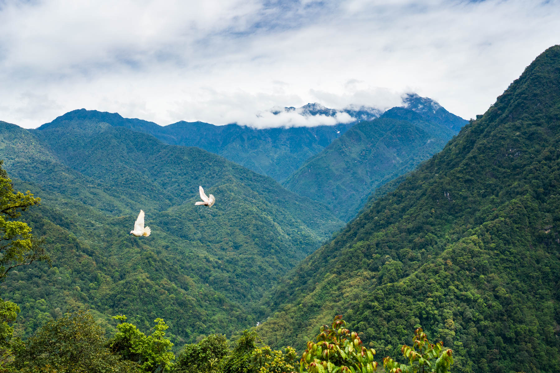 Backpacking in Arunachal Pradesh - The view on the way to Mechuka - Lost With Purpose