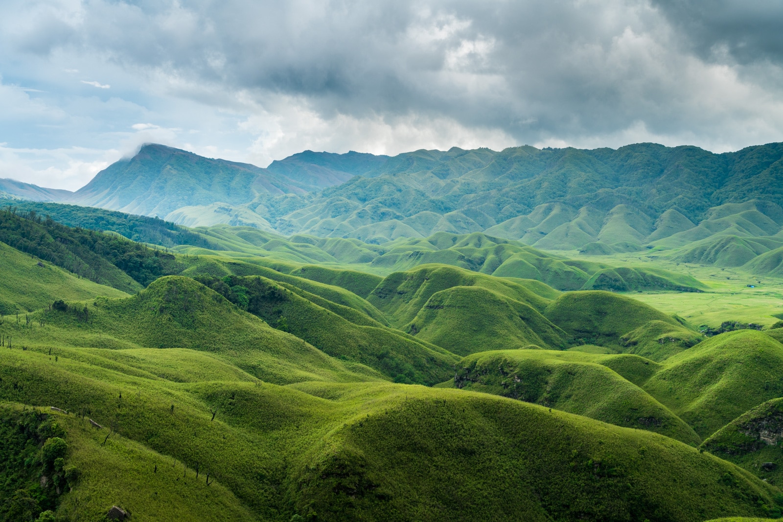 dzukou valley tourism