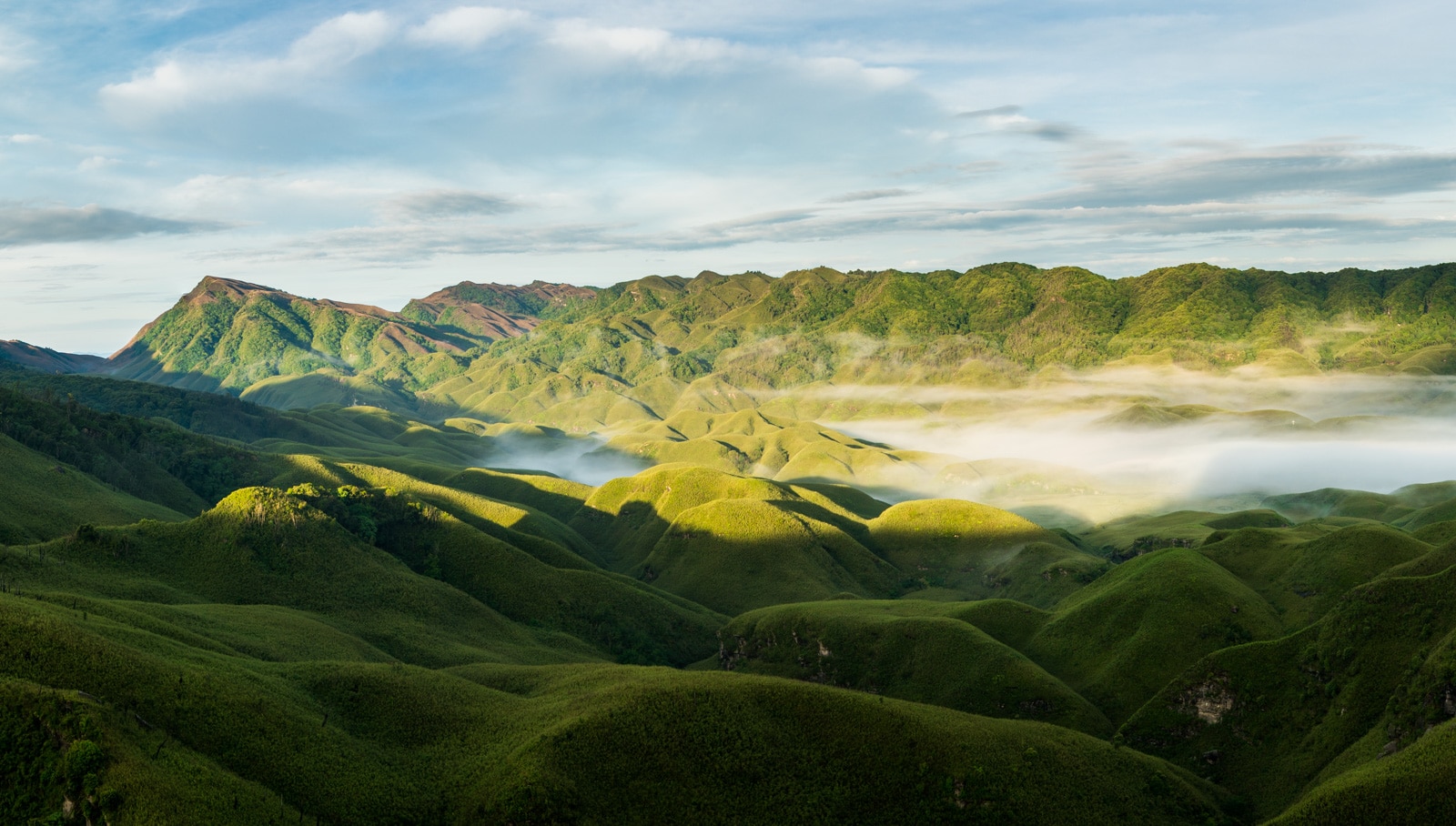 Sunrise over Dzukou Valley on a foggy morning