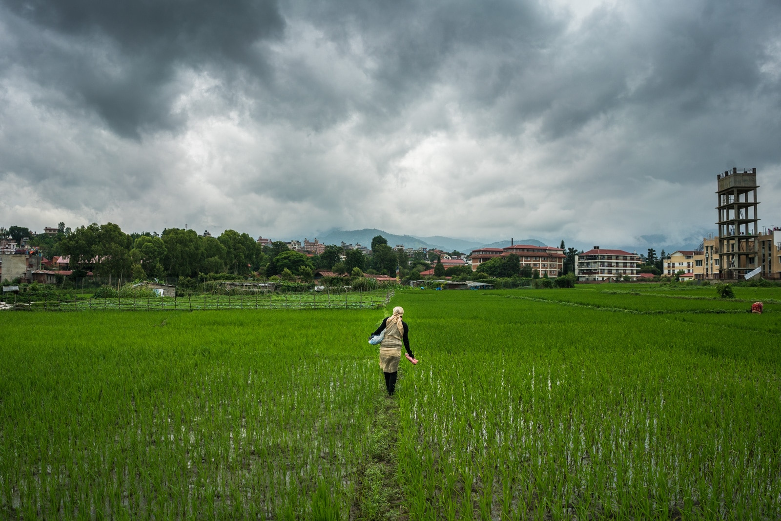 Scenes from Patan, Nepal - Sarita walking through rice fields inside Patan city - Lost With Purpose travel blog