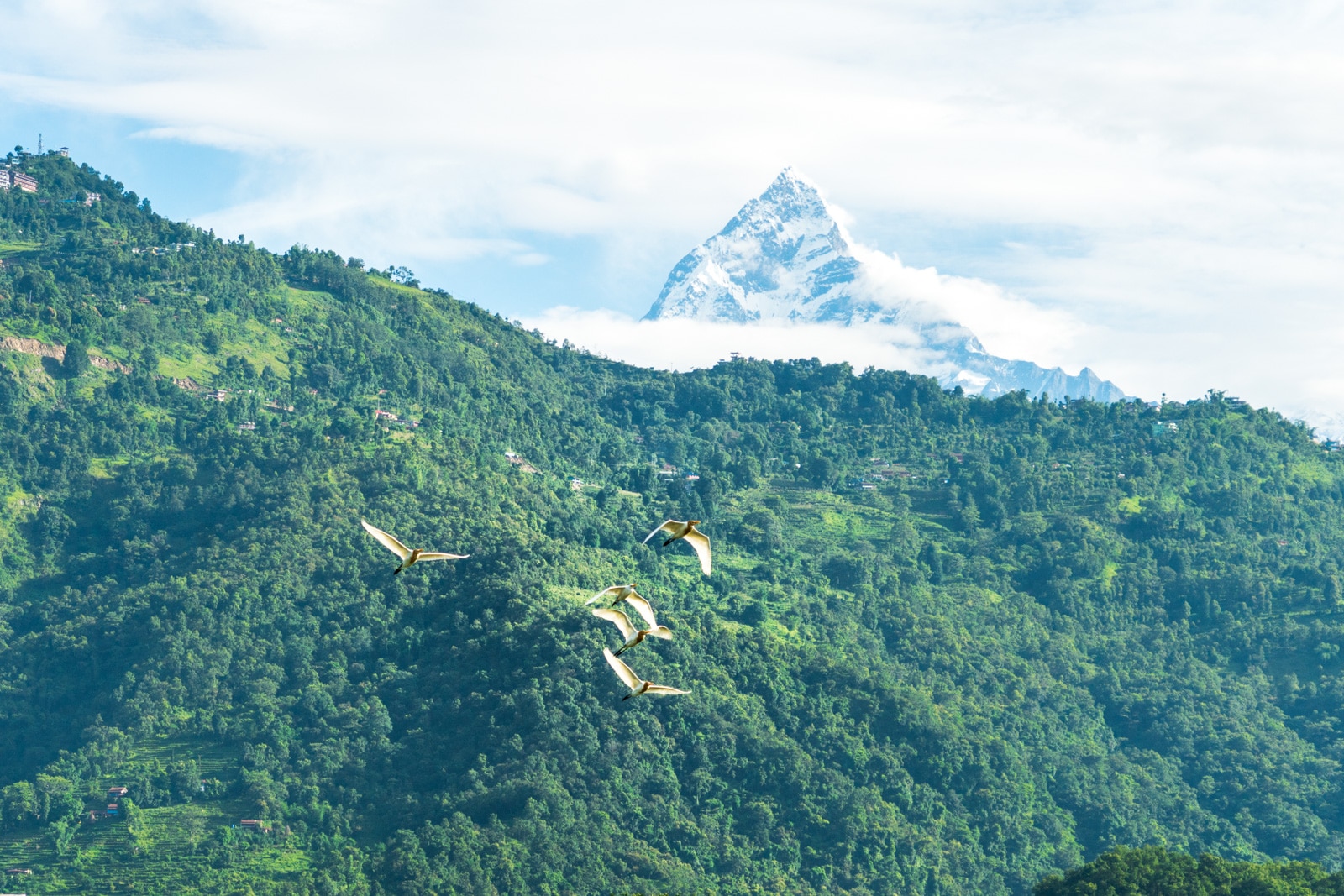 Travel during monsoon in Nepal - A cloudy view of the Annapurna mountain range from Pokhara - Lost With Purpose travel blog