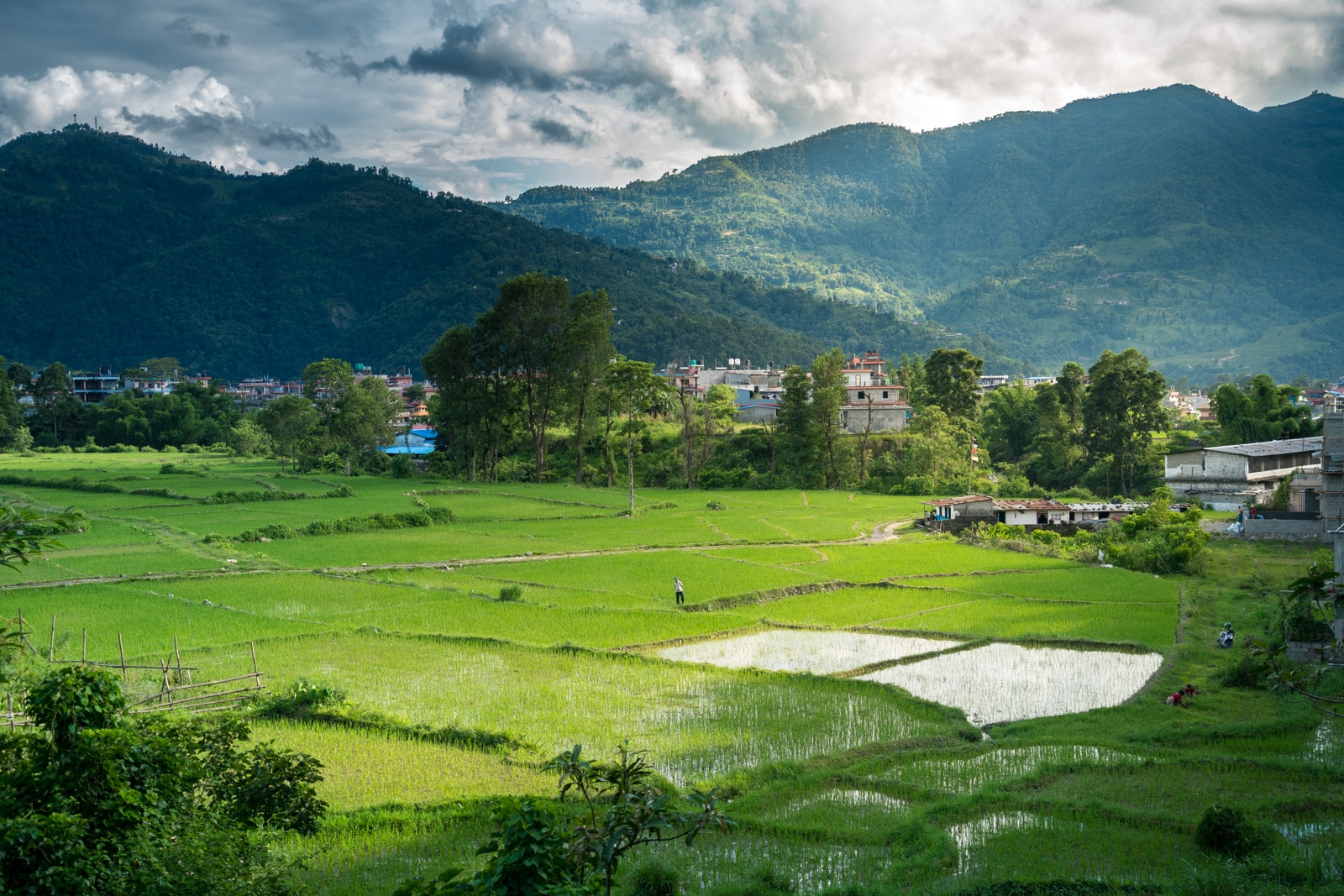 What's it like to travel during monsoon in Nepal? - Rice paddies around Pokhara - Lost With Purpose travel blog