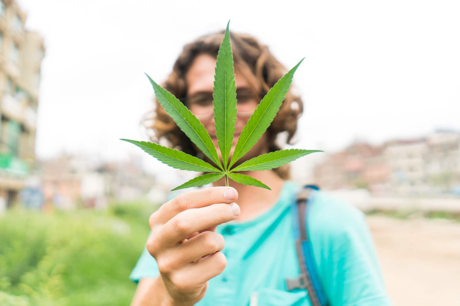 A wild marijuana plant in Patan, Nepal - Lost With Purpose travel blog