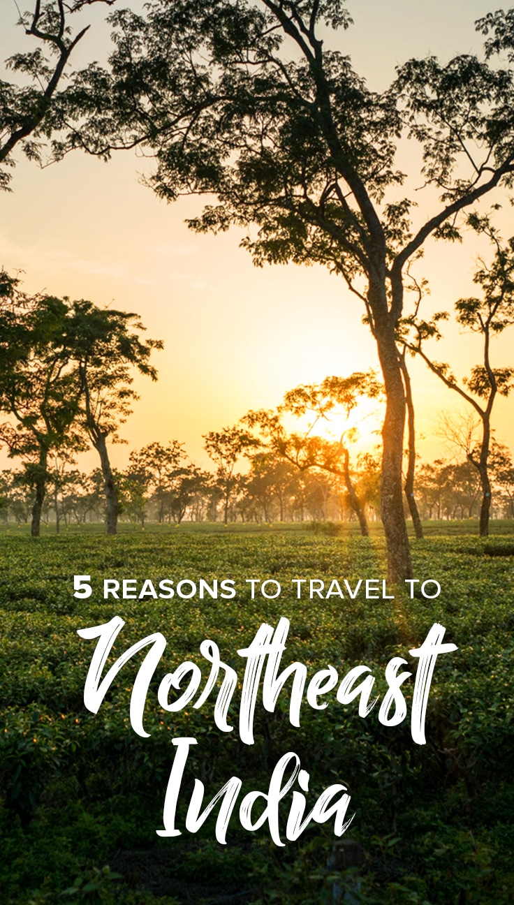 Love off the beaten track travel, outdoor adventures, and friendly local people? Maybe it's time to consider traveling to Northeast India! Read on for 5 reasons why you should travel to Northeast India, plus more inspiration, advice, and travel blog posts on the region.