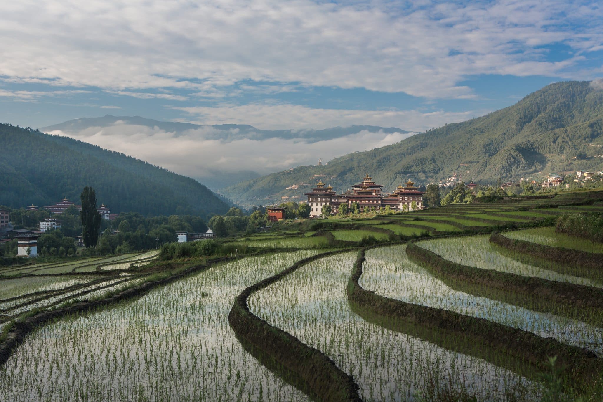 We're traveling to Bhutan - Rice paddies in Bhutan from Gray Langur Tours