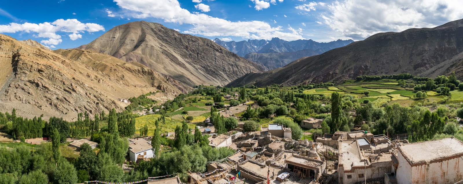Why we fell in love with India - A green village in the Sham Valley of Ladakh, Jammu and Kashmir state, India - Lost With Purpose travel blog