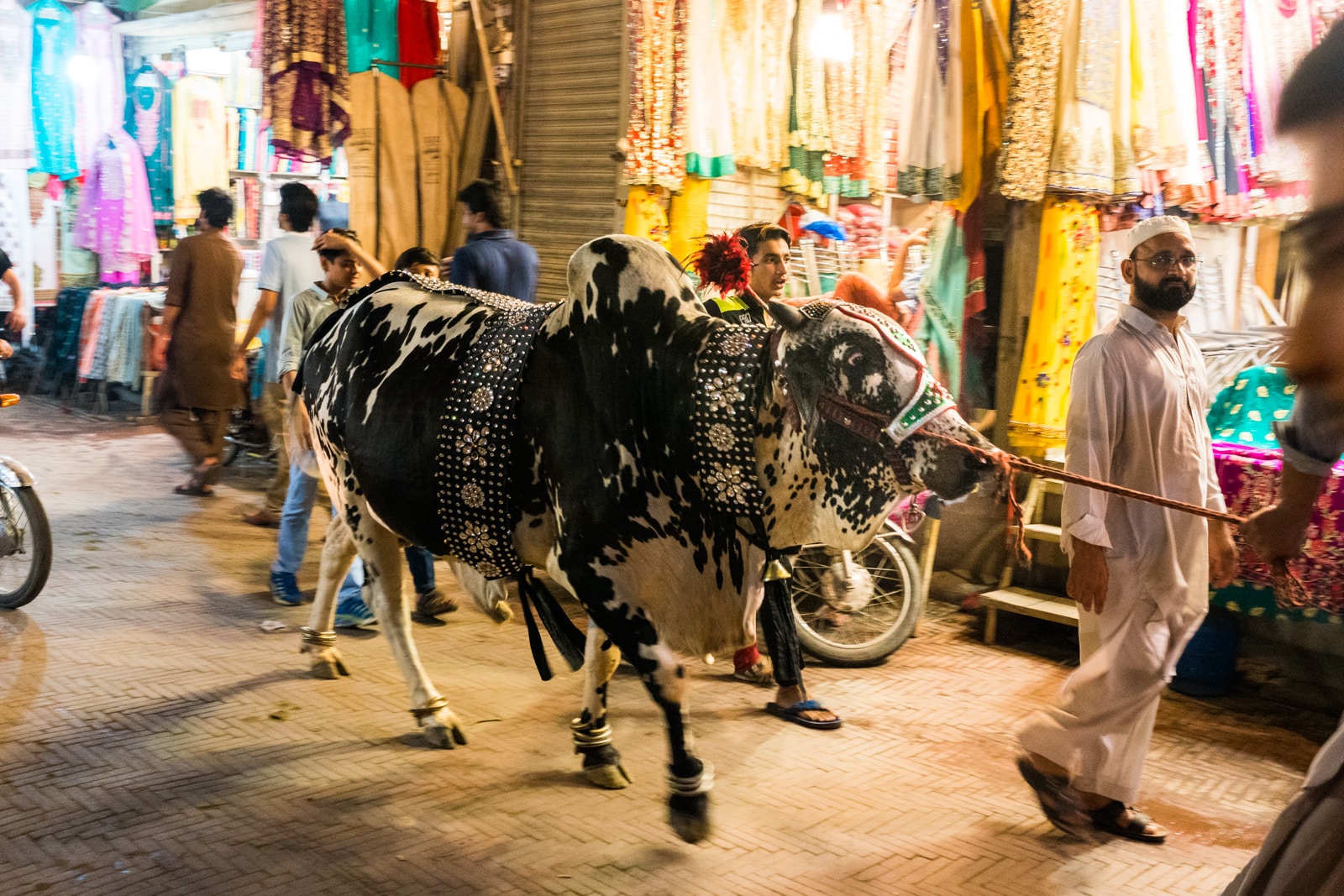 Celebrating Eid al-Adha in Lahore, Pakistan - Cow walking through the Wazir Khan bazaar - Lost With Purpose travel blog