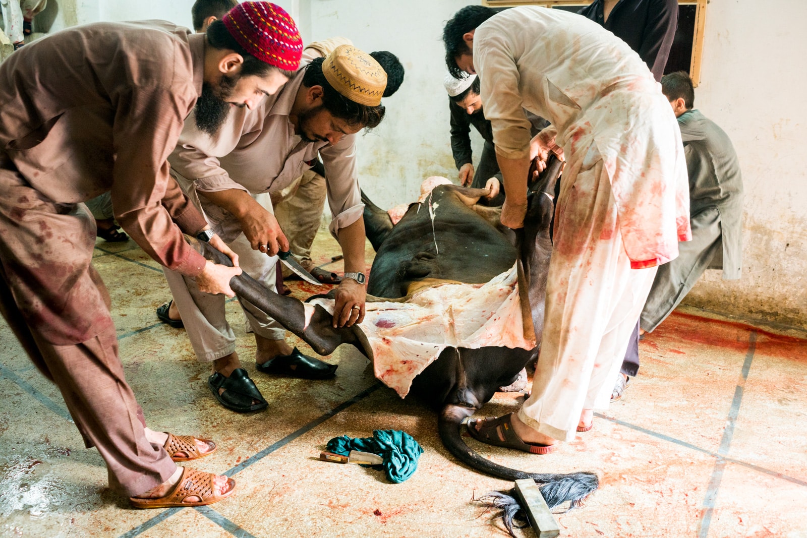 Celebrating Eid al-Adha in Lahore, Pakistan - Skinning a cow - Lost With Purpose travel blog