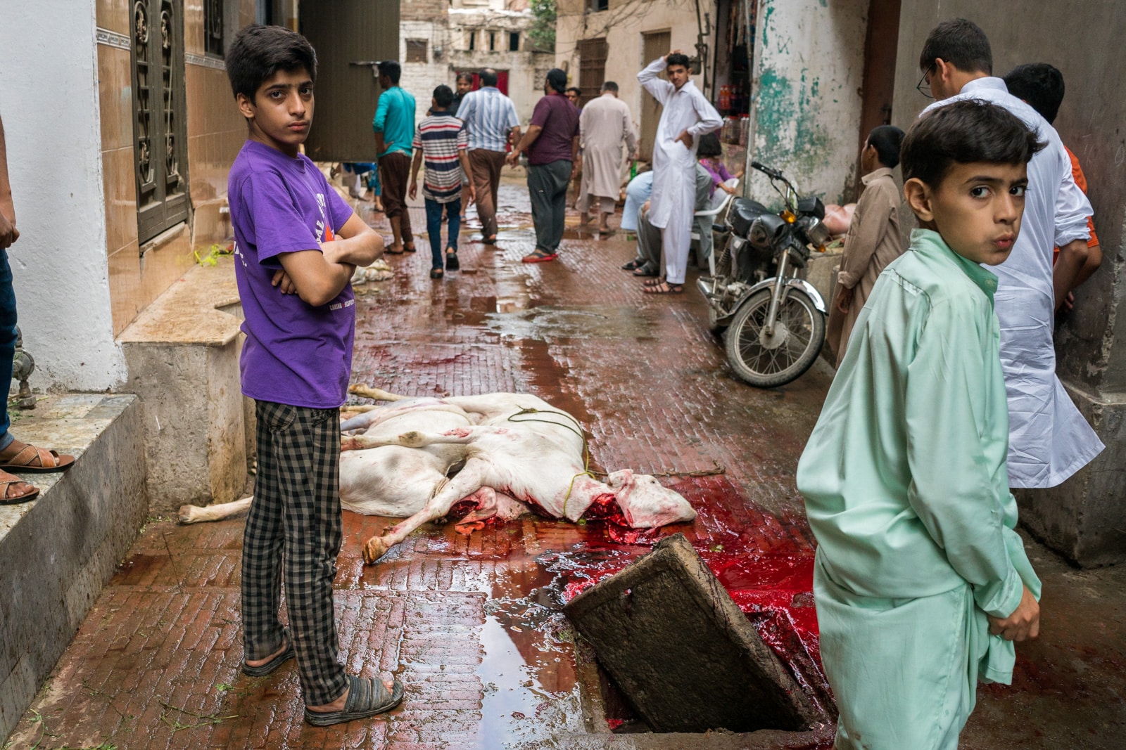 Celebrating Eid al-Adha in Lahore, Pakistan - Dead goats lying on the streets - Lost With Purpose travel blog