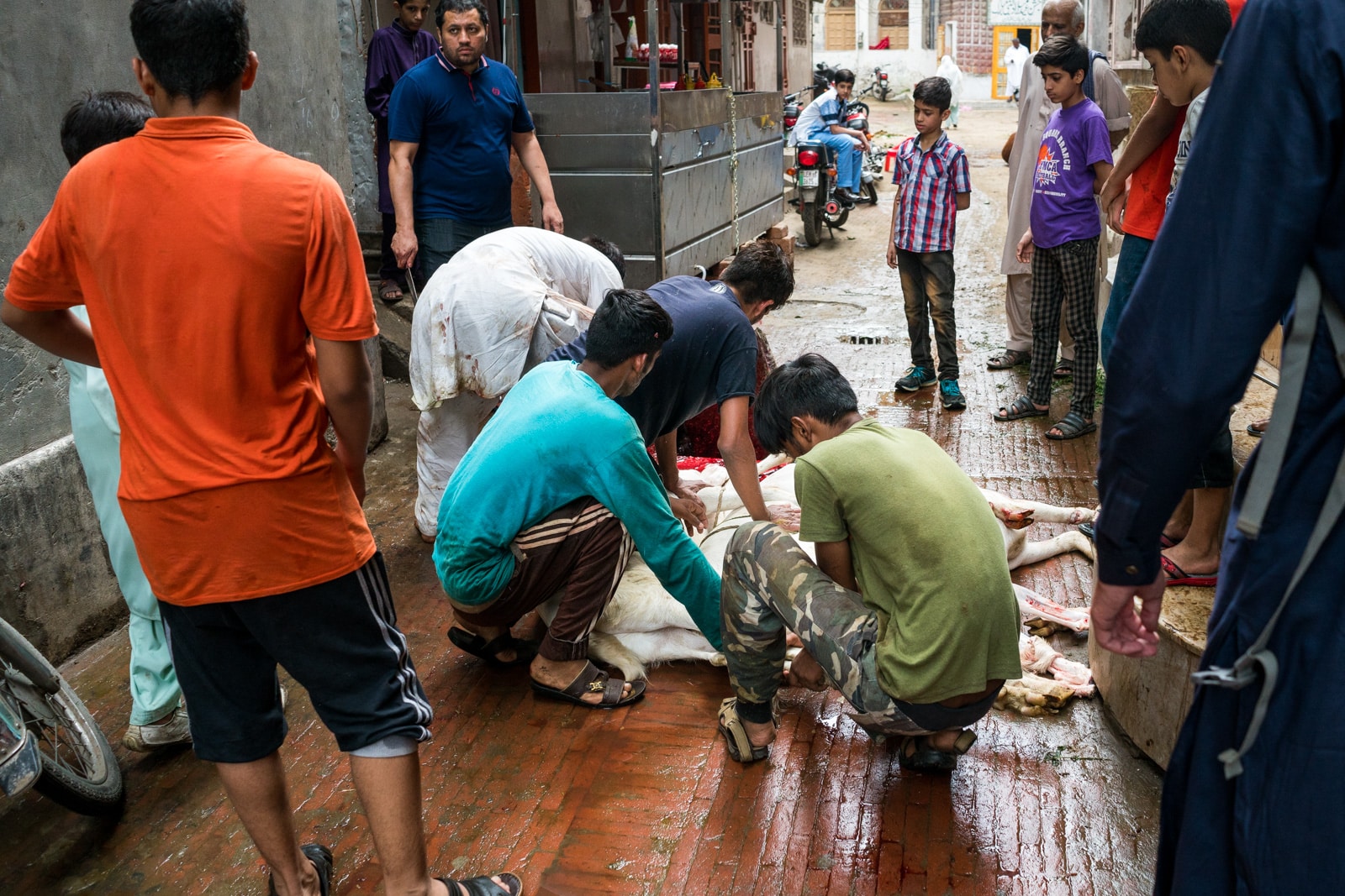 Celebrating Eid al-Adha in Lahore, Pakistan - Boys sacrificing a goat - Lost With Purpose travel blog