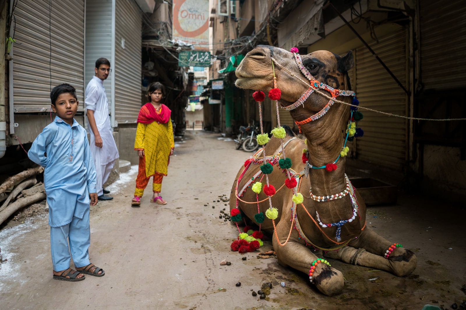 Celebrating Eid al-Adha in Lahore, Pakistan - Street kids and a camel - Lost WIth Purpose travel blog