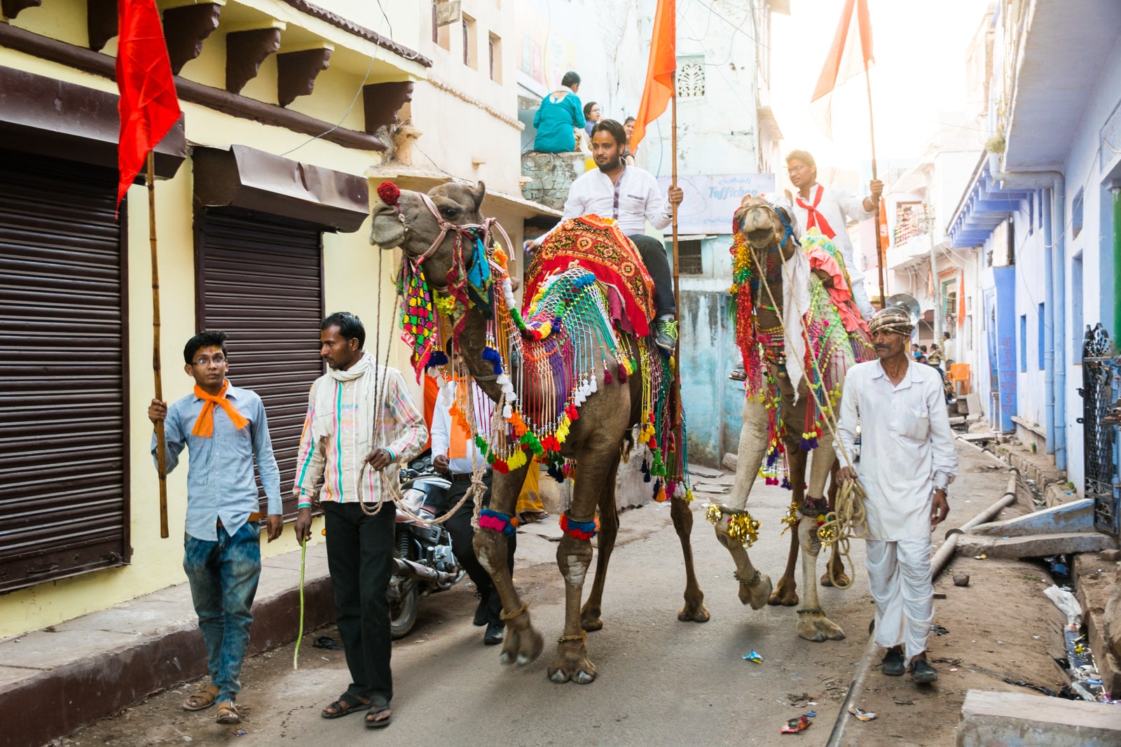 Why we love India - Camels during a parade for Shiva's birthday in Bundi, Rajasthan state, India - Lost With Purpose travel blog