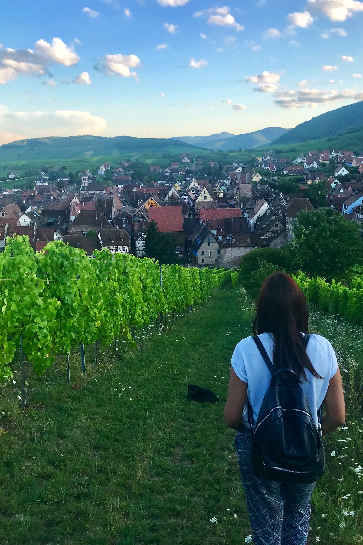 Bee Travelista in Alsace, France