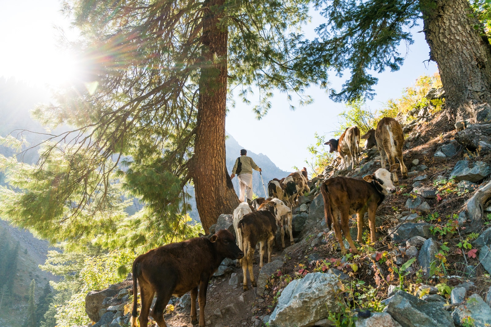 Day trekking around Kalam, Swat Valley, Pakistan - Trekking guide Aslam during early morning - Lost With Purpose travel blog
