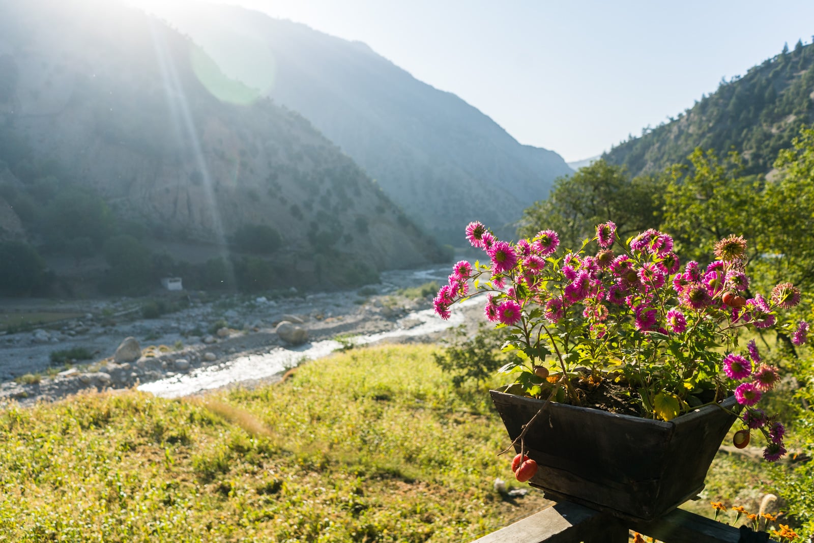 Flowers and views of Rumboor Valley