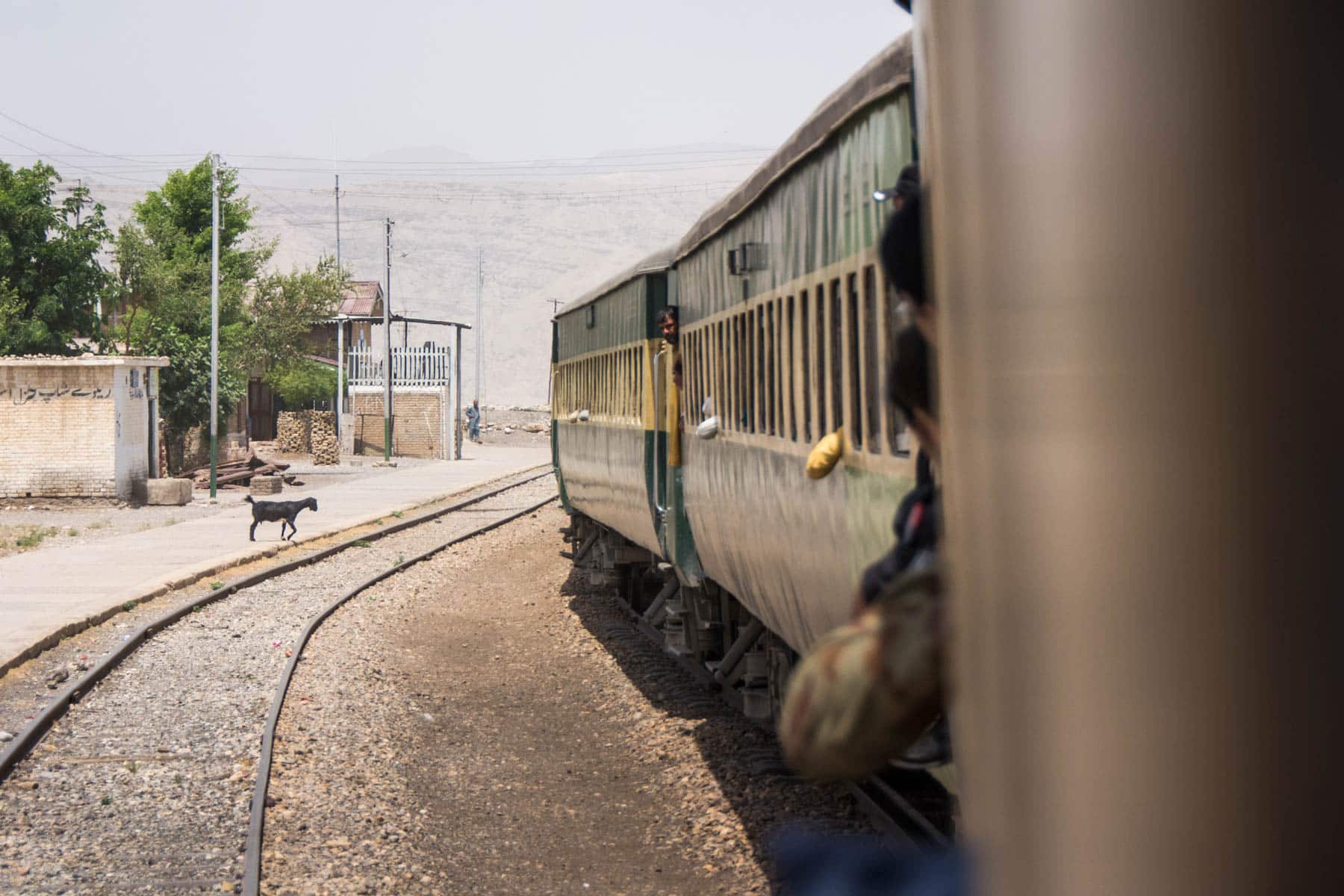 Guide to train travel in Pakistan - Goat on the train platform - Lost With Purpose travel blog