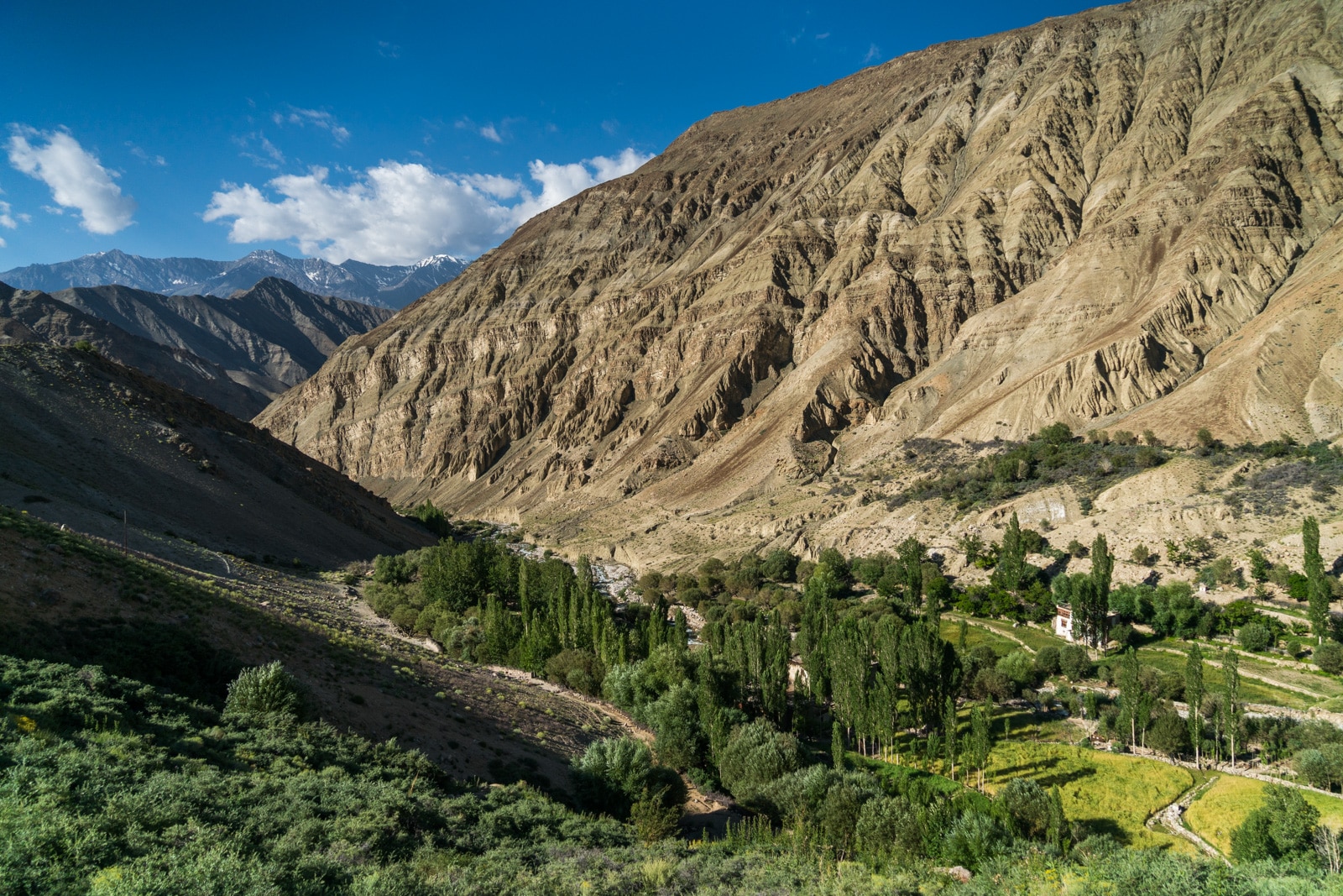 Short 3-day itinerary and guide to the Sham Valley trek in Ladakh, India - View while trekking out of Yangthang village - Lost With Purpose travel blog