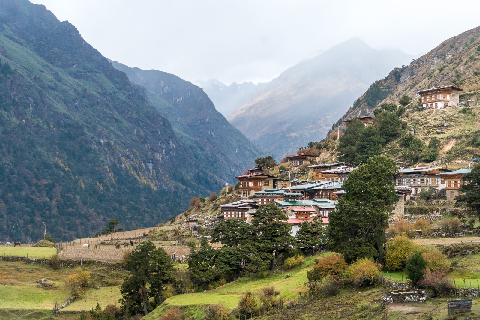 Photos of the Royal Highlander Festival in Bhutan - Laya village - Lost With Purpose travel blog