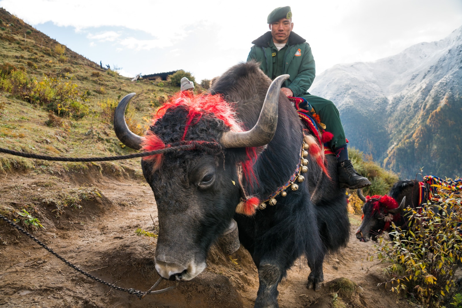 Photos of the 2017 Royal Highlander Festival in Bhutan - Man on a yak walking up to the festival - Lost With Purpose travel blog