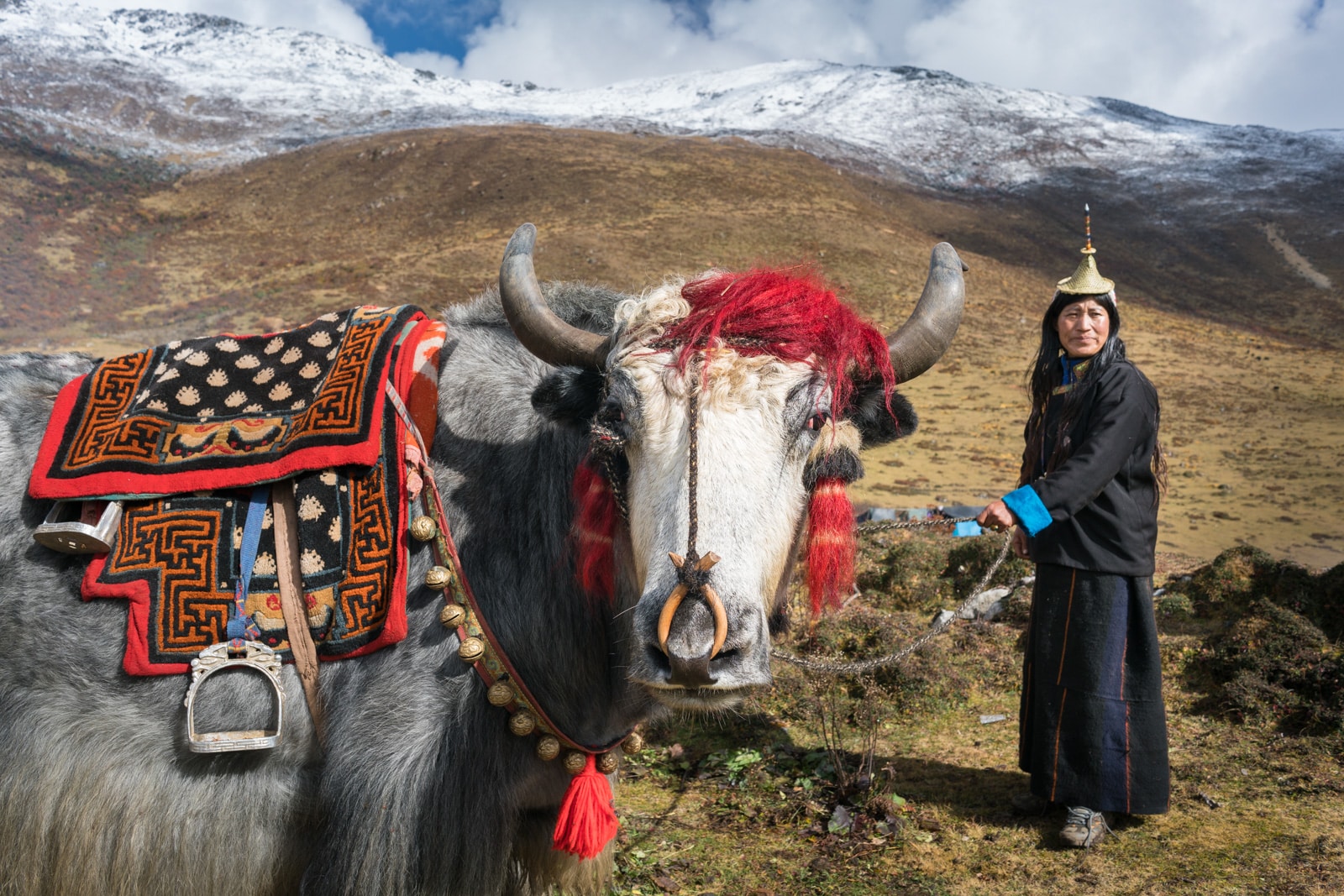 Photos of the 2017 Royal Highlander Festival in Bhutan - Local Layap lady with a yak with a saddle - Lost With Purpose travel blog