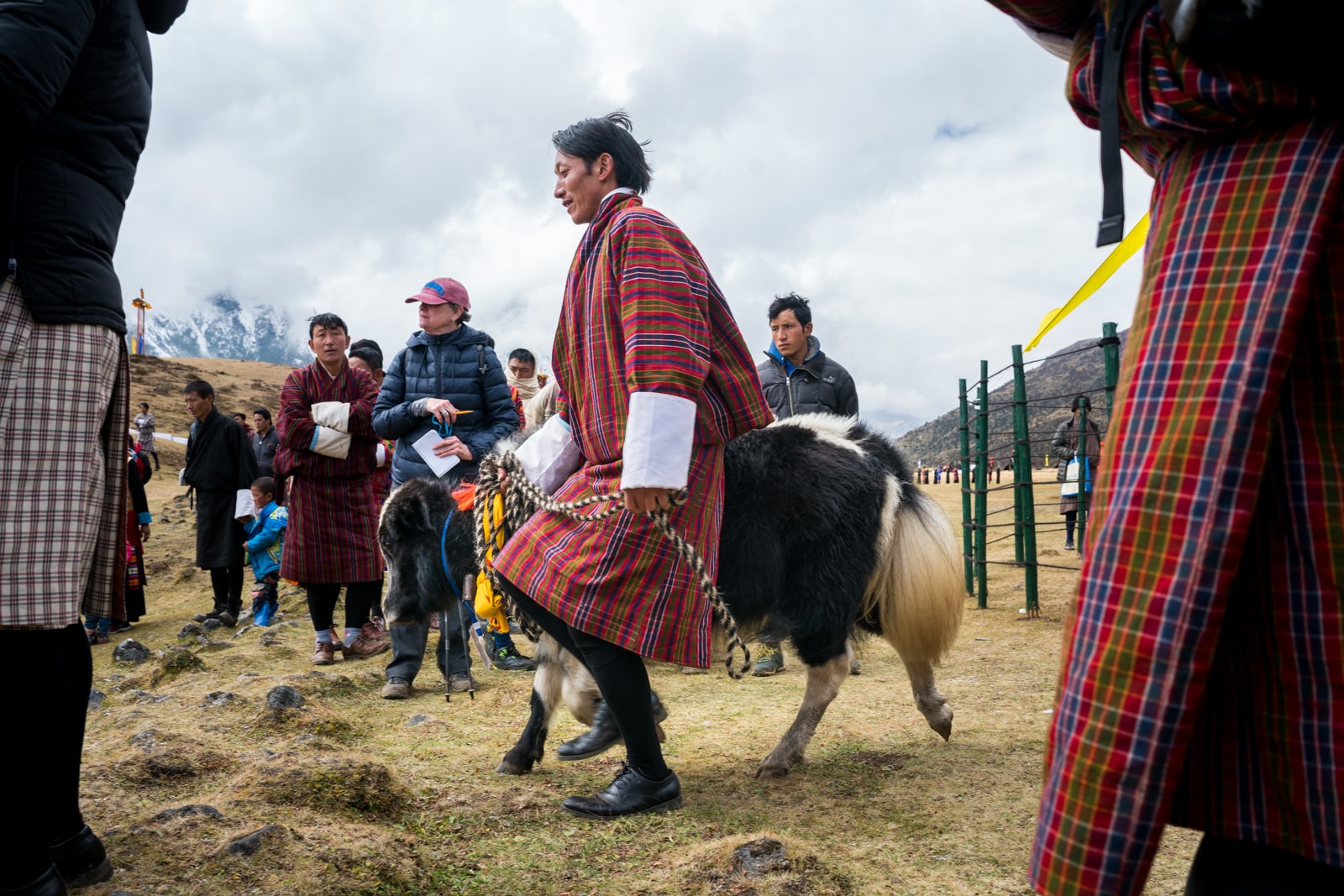 Photos of the 2017 Royal Highlander Festival in Bhutan - Man showing a baby yak at the festival - Lost With Purpose travel blog