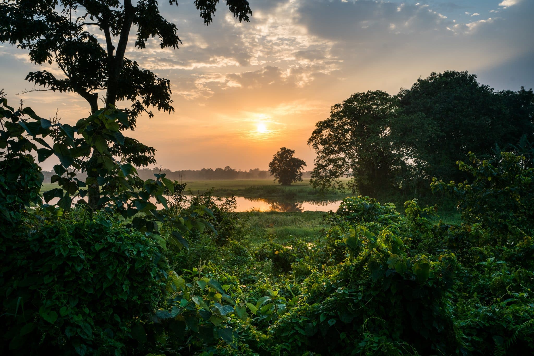 Golden sunrise over Majuli river island