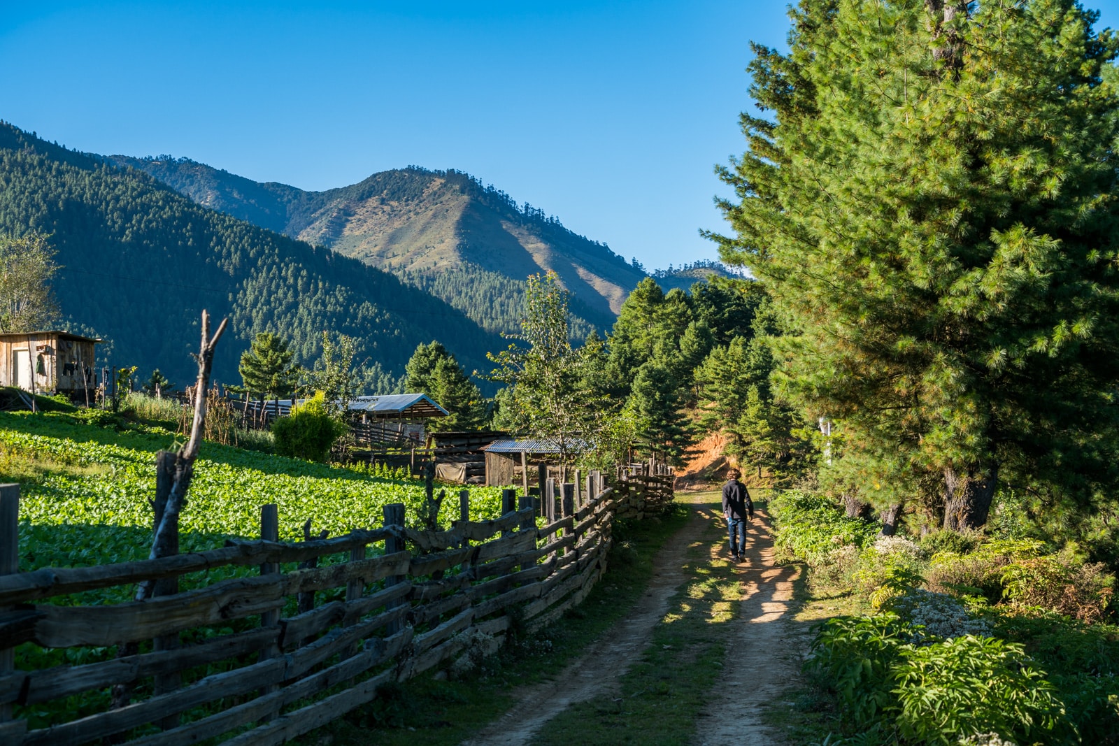 A review of our guided tour in Bhutan - Walking on a path in Phobjikha Valley on our own - Lost With Purpose travel blog