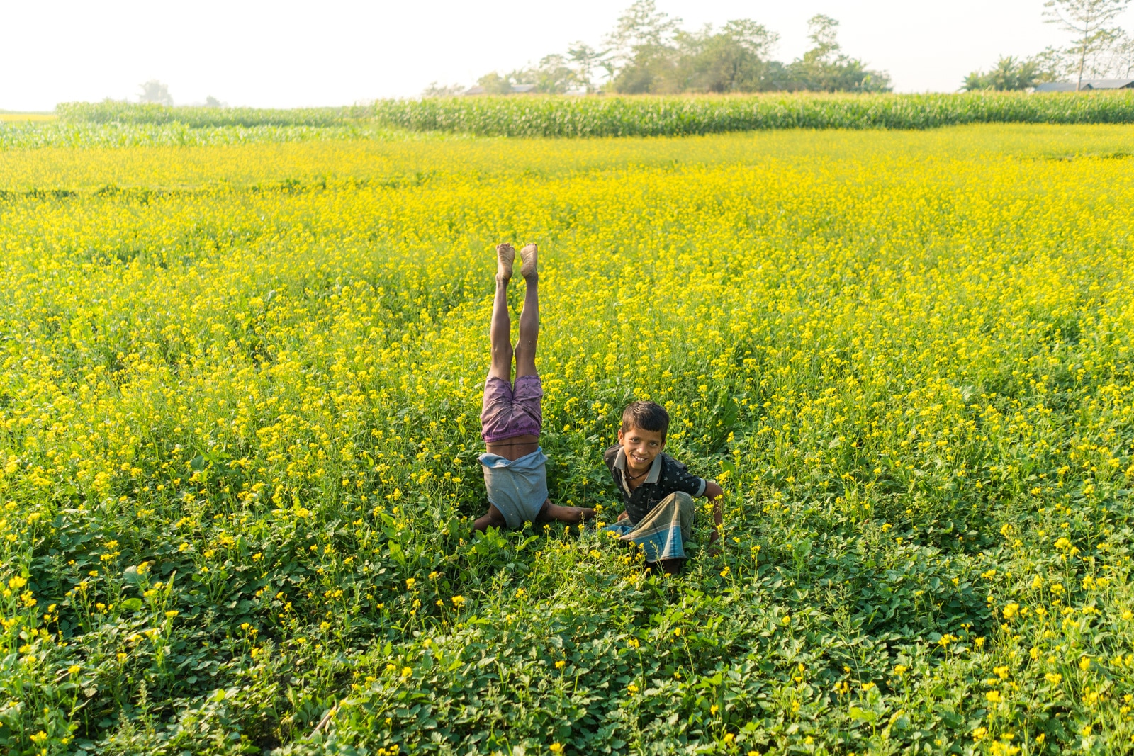 Luxury river cruise in Assam, India with Assam Bengal Navigation - Village kids in a mustard field in the Bangladeshi village of Khirakanta - Lost With Purpose travel blog