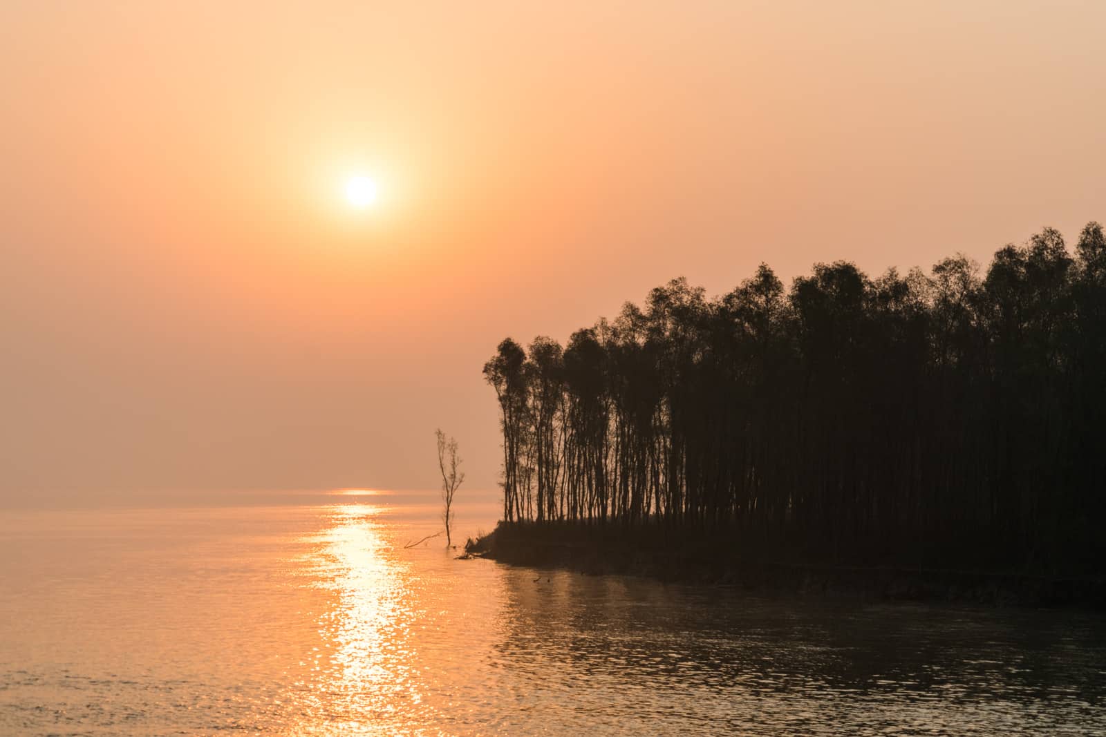 Guide to Nijhum Dwip, Bangladesh - Sunrise over a forested island in the Meghna - Lost With Purpose travel blog