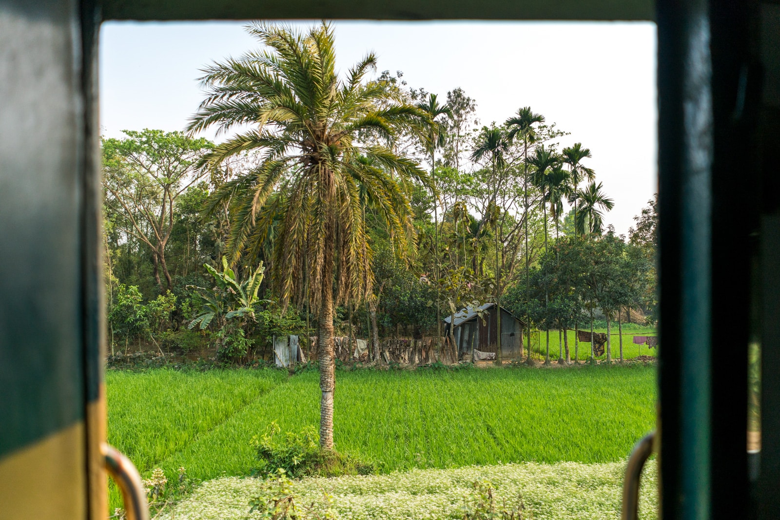 Backpacking in Bangladesh travel guide - Green out of open train door - Lost With Purpose travel blog