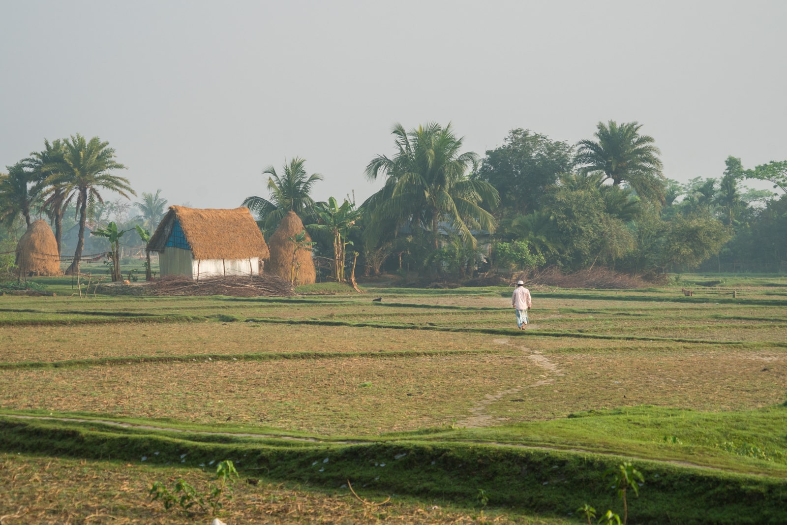 The ultimate Bangladesh travel guide - Man walking during golden hour on Nijhum Dwip island - Lost With Purpose travel blog