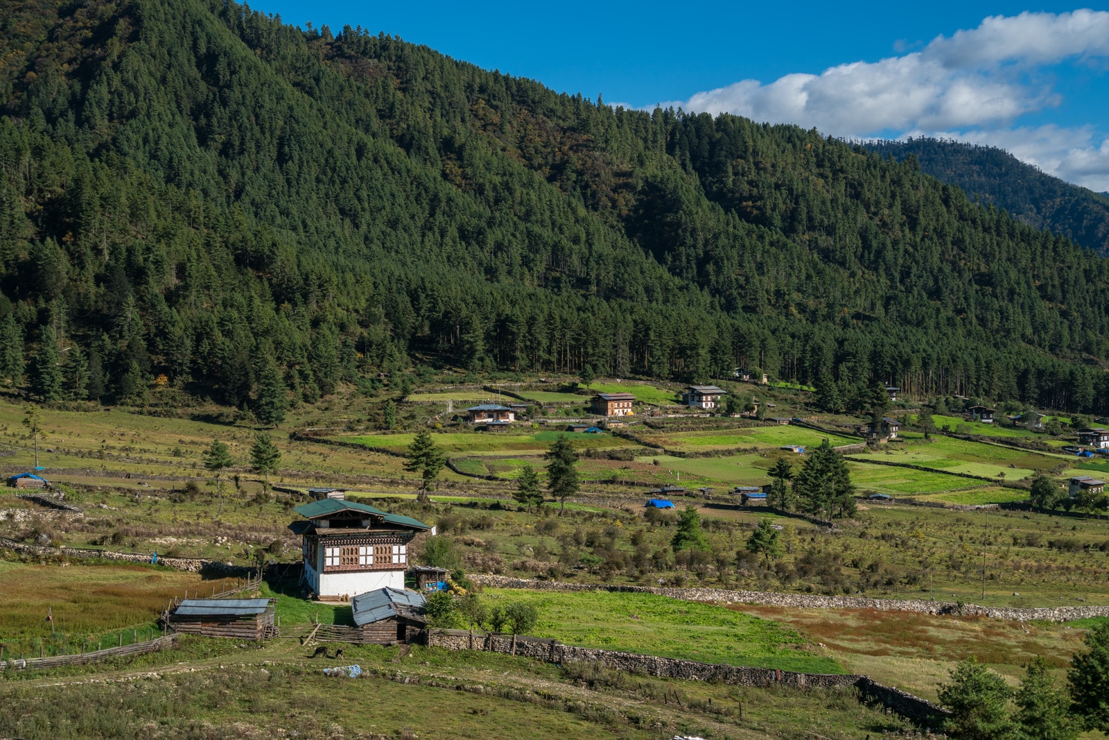 Stunning photos of Bhutan - Village houses in Phobjikha Valley AKA Gangtey - Lost With Purpose travel blog