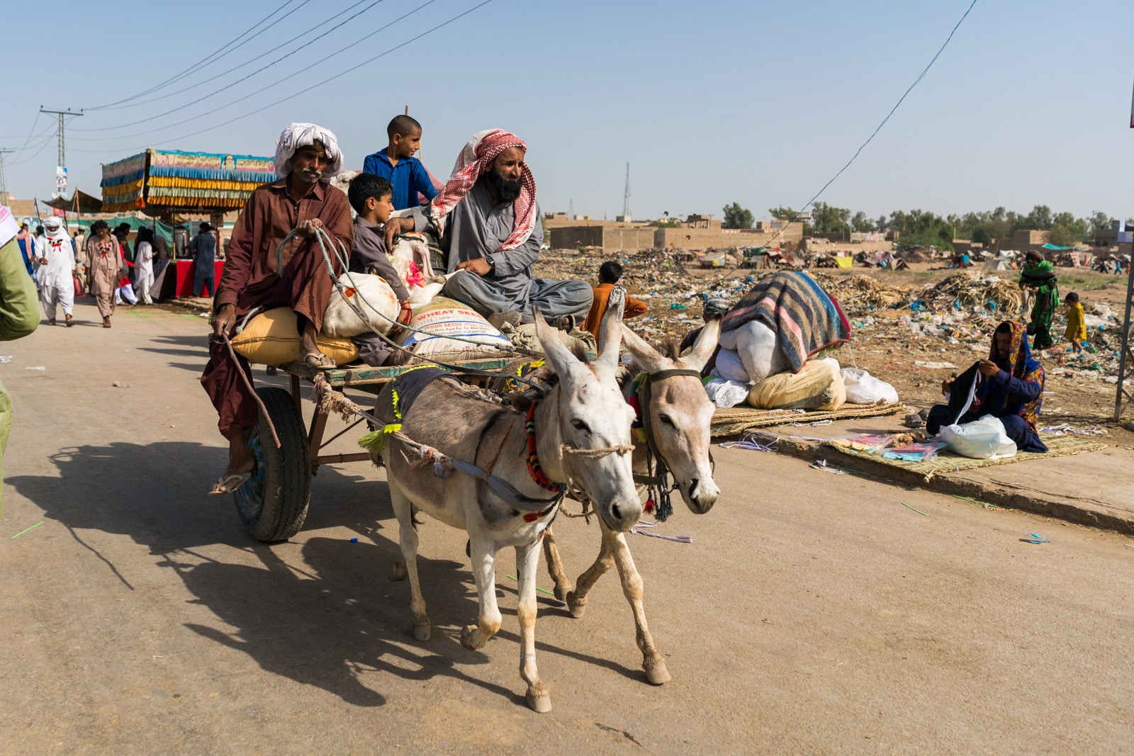 The Urs of Lal Shahbaz Qalandar in Sehwan, Pakistan - Man driving donkey cart - Lost With Purpose travel blog