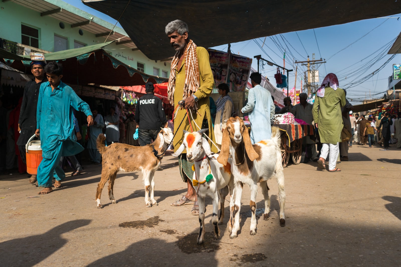 The Urs of Lal Shahbaz Qalandar in Sehwan, Pakistan - Man selling goats on the street - Lost With Purpose travel blog