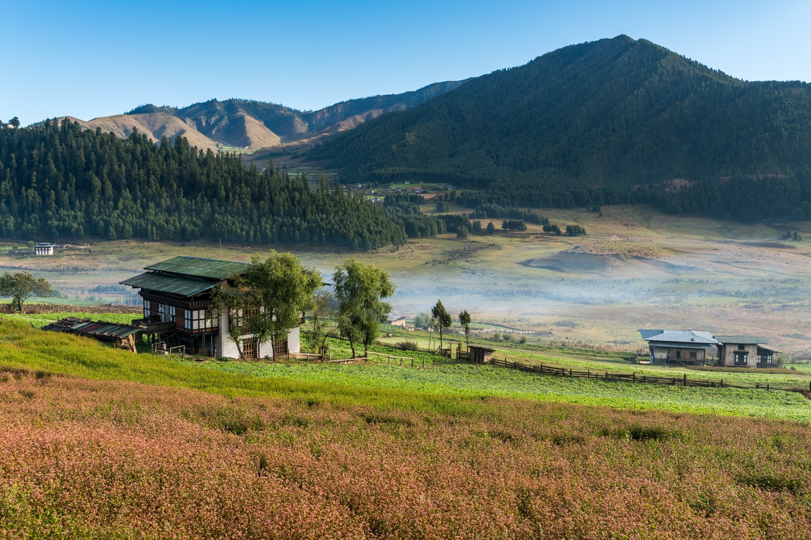 Stunning photos of Bhutan - Farmhouse in Phobjikha Valley - Lost WIth Purpose travel blog