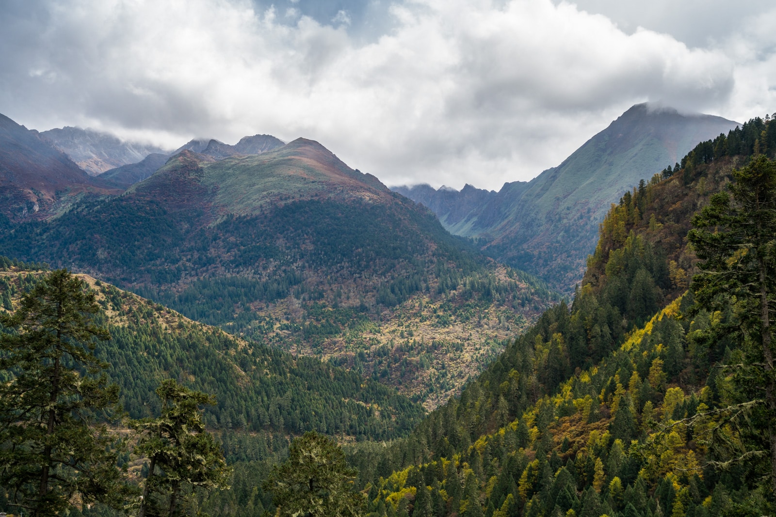 Stunning photos of Bhutan - View on the Gasa to Laya trek - Lost With Purpose travel blog